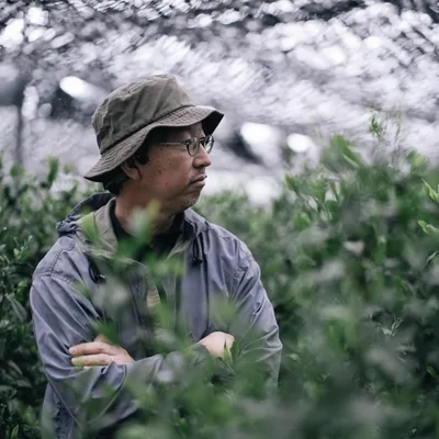 Gokasho Organic Uji Hikari - thumbnail 4