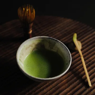 Shirakawa Samidori - thumbnail 2
